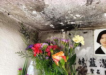 朱媛媛墓碑前鲜花摆设