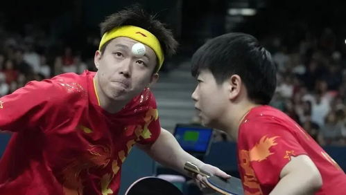 王楚钦与孙颖莎在直播中互动