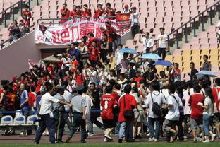 观众席热情高涨球迷欢呼场景