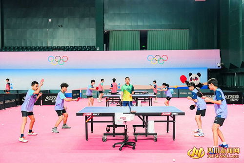 乒乓球训练现场