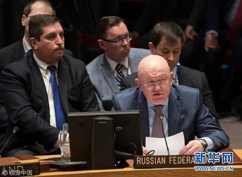 联合国安理会召开紧急会议