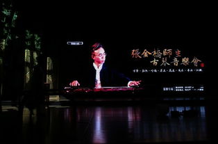 麋先生在舞台上演绎新歌的现场画面