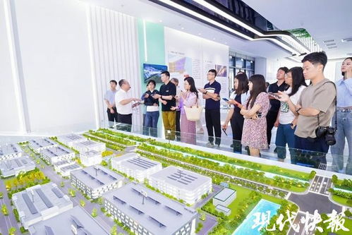 作者在滨海港零碳产业园考察现场