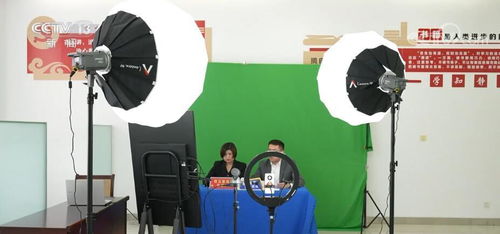 求职者在手机前观看直播带岗