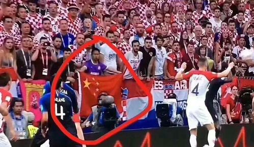 热刺球迷激动欢呼