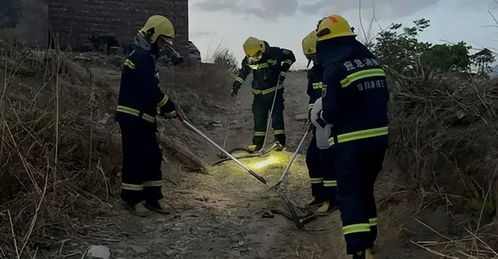 居民围观消防员抓蛇场景
