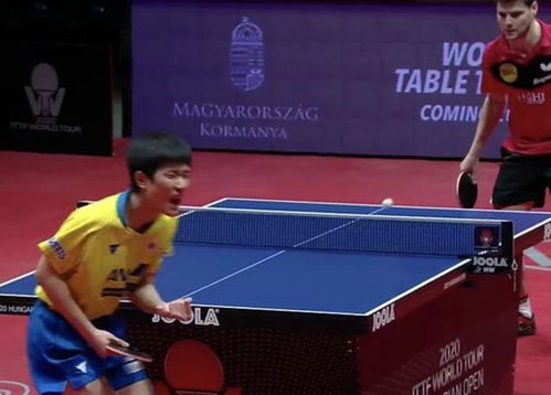 张本智和与教练庆祝胜利