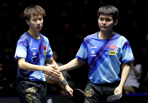 林高远与林诗栋庆祝胜利