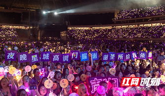 林俊杰在大型体育场开唱现场座无虚席