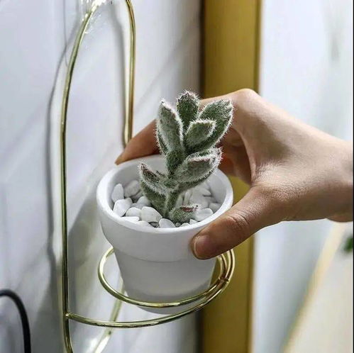 堆满文件和咖啡杯的办公桌