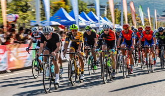 环巢湖自行车赛突发悲剧：好友仍昏迷，开颅手术牵动人心