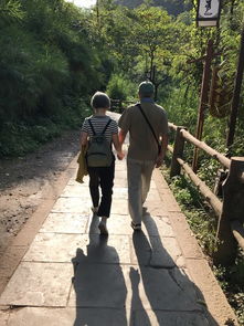 老夫妇牵手散步夕阳下