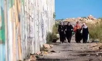 巴以边境上的隔离墙