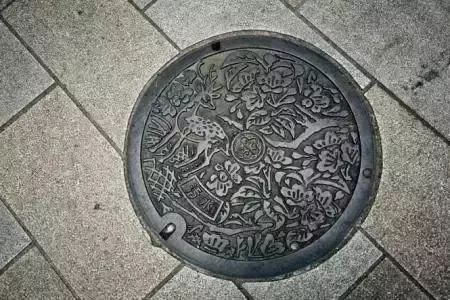 重庆一男生坠化粪池身亡，副校长被免职！事故背后令人揪心