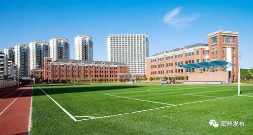 年轻人在校园附近设立的简易摊位