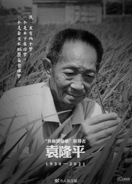 袁隆平院士逝世四周年｜稻香犹在，国士长存！谁还记得那个‘禾下乘凉梦’？