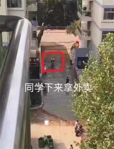 重庆一大学生坠亡化粪池，事发地现状曝光！学校回应引争议