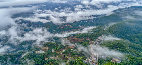 云南普洱景迈山的一家文化主题精品民宿