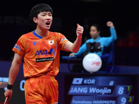 张本智和结束多哈世乒赛之旅：少年老成，未来可期