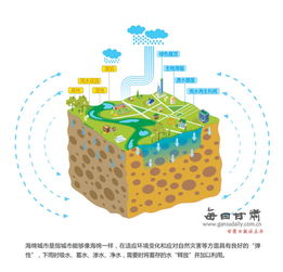 海绵城市概念图示意