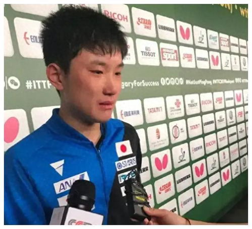 张本智和向观众挥手致意