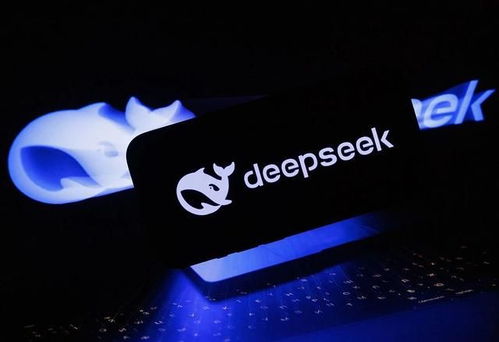 DeepSeek R1大模型界面展示图