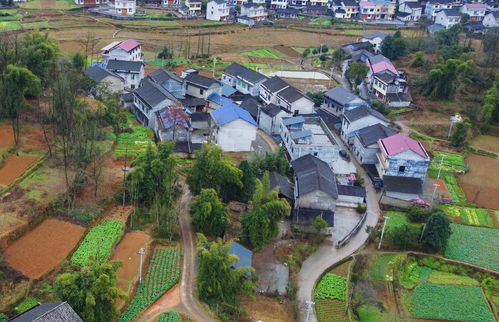 重庆男子离奇失踪两月，手机充电家中，抽干水塘无踪影！