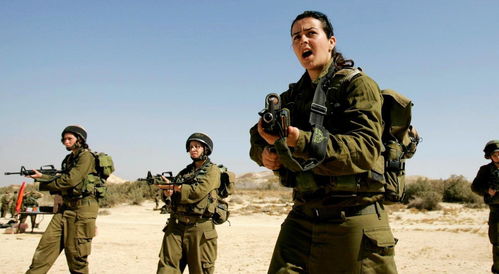 以军向外交使团鸣枪 有中国外交官？事件真相全解析