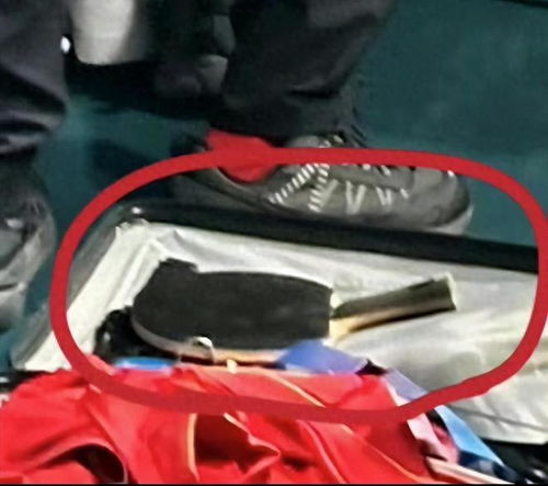 王楚钦胜利庆祝瞬间