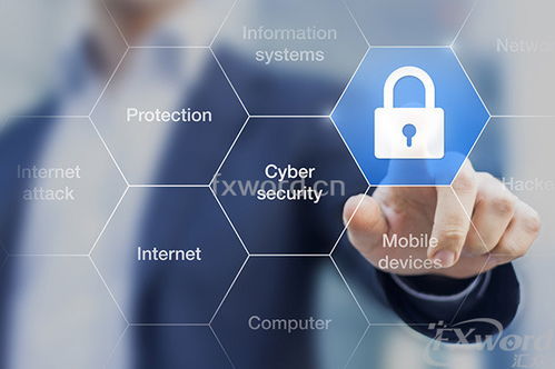 网络安全漏洞警示图标