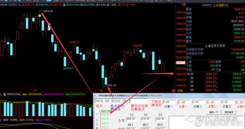 投资者在电脑前查看股市行情