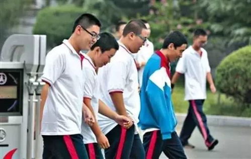 重庆高校悲剧：男生坠入化粪池身亡，副校长被免职引深思