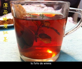 今日水素：薄荷红茶，草本与茶韵的双重馈赠