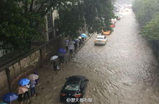 暴雨中的武汉街头：车辆“吃井盖”背后的真实现场直击