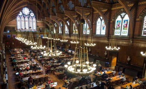 哈佛风波升级，留学生未来悬而未决？