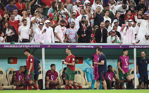 球迷在球场上举起手机拍照