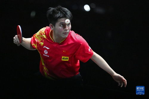 林诗栋VS卡尔伯格：从八强到冠军，一场热血逆袭的乒乓球传奇