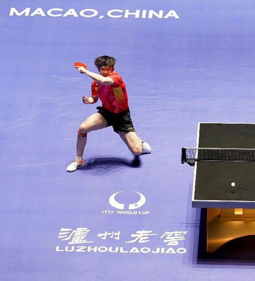 王楚钦多哈世乒赛强势晋级八强，国乒男单新希望闪耀赛场