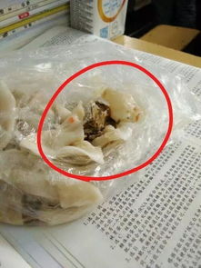 学校食堂饭菜中出现蛆虫