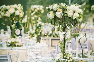 自然光影的和谐之美