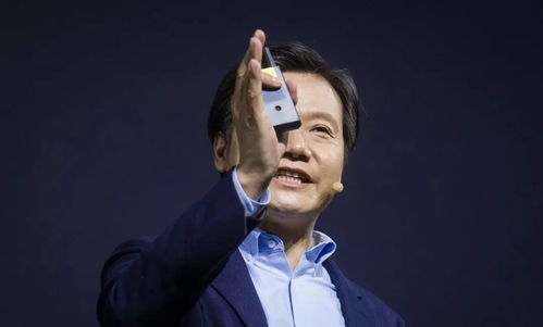 从“风口猪”到沉默者：雷军变了，但小米没停