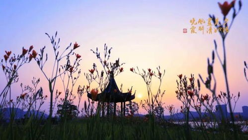 傍晚时分公园里的夕阳美景