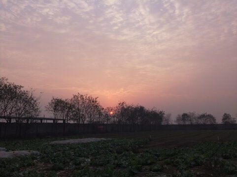 夕阳下的田野与远山构成一幅小满时节的画卷