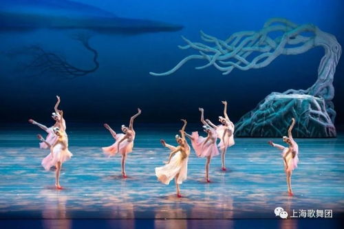 朱洁静在舞台上演绎朱鹮的优雅身姿