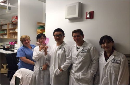 哈佛大学实验室内的科研人员工作场景