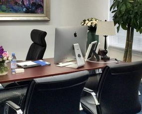 林婉清在讲解职场技巧