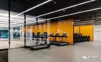 玄戒 O1 处理器晶圆实物亮相小米科技园，我带你一探究竟！