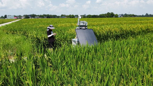 环境智能型作物概念图