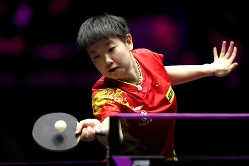 孙颖莎4比2申裕斌，强势回归背后的精彩对决全解析