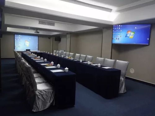 林婉清与团队开会